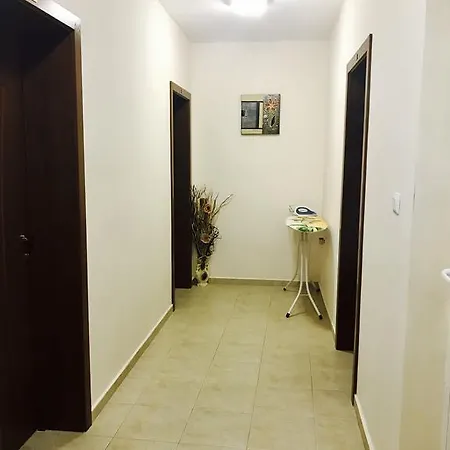 Pensiune Natali 2*