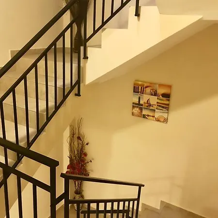 Guest house Natali 2*