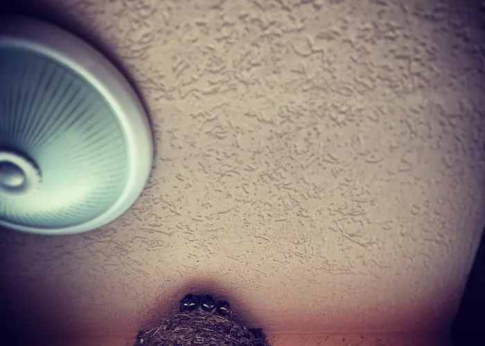 Casa de hóspedes Natali